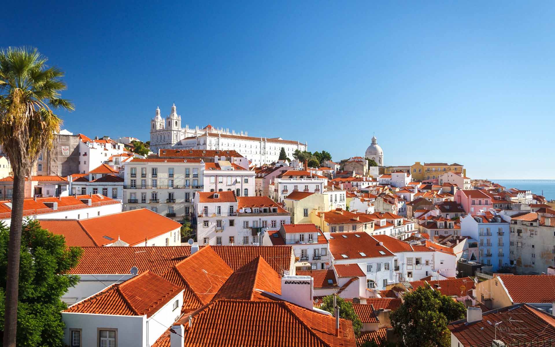 Bild von Häuserdächern in Lissabon.