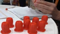 3D-gedruckte Modelle vom Muttermund