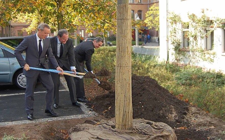 Drei Personen im Anzug pflanzen einen Baum auf dem Campus