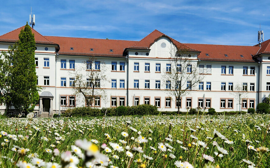Blumenwiese und ein Hochschulgebäude