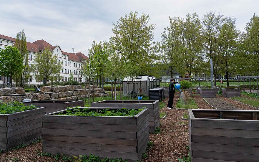 Hochschulgarten mit seinen Pflanzenkästen, sowie Studentin im Hintergrund bei der Arbeit im Garten