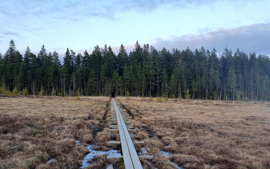 Landschaft Weg