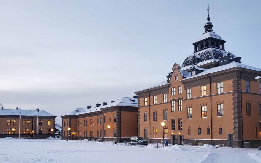 Mehrere braun gestrichene Gebäude im Schnee, von denen eines eine mehrstufiges Kuppeldach hat