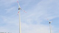 Weiße Windräder stehen zwischen grünen Bäumen vor blauen Himmel.
