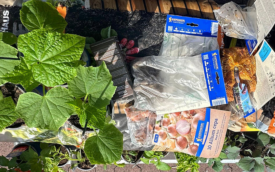 Auswahl an Pflanzen und Saaten, sowie Blumenerde auf einem Einkaufswagen