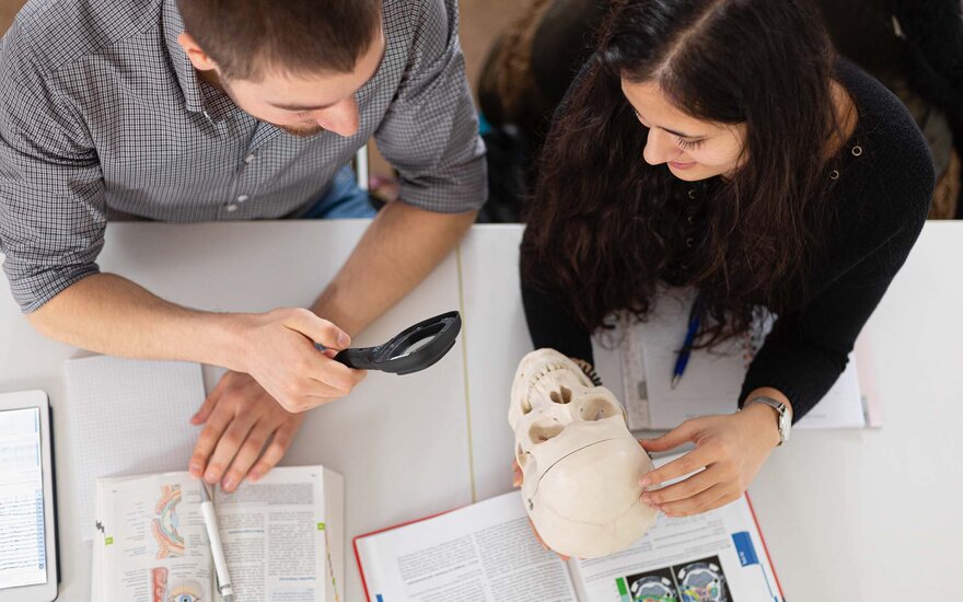 Studierende untersuchen ein Schädel-Skelett mit Hilfe eines Fachbuchs für Anatomie