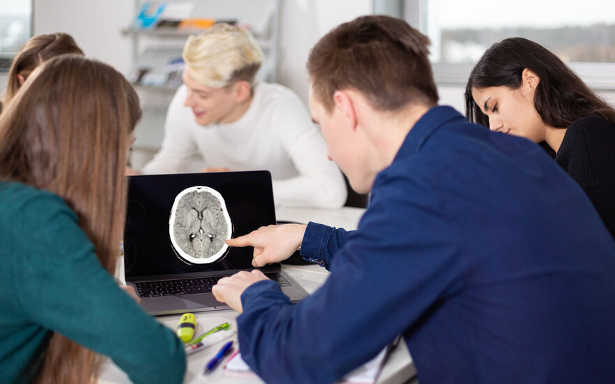 Studierende bewerten den Neuro-Scan eines Gehirns