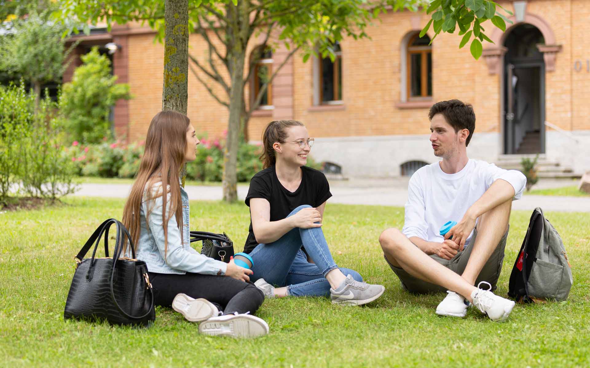 Drei Studierende sitzen auf der Campus Wiese und unterhalten sich